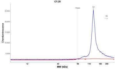 Simple Western: Integrin alpha 2b/CD41 Antibody [NBP1-84581]