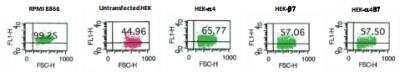 Flow Cytometry: Integrin alpha 4 beta 7/LPAM-1 Antibody (111D9.03) [DDX1434P-100]