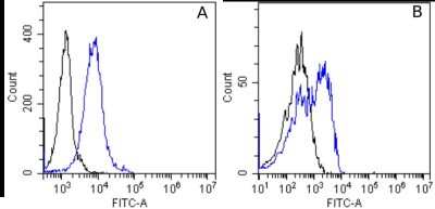 Flow Cytometry: Integrin alpha 5 beta 1 Antibody (M200 (Volociximab)) - Chimeric - Azide and BSA Free [NBP2-52680]
