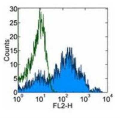 Flow Cytometry: Integrin alpha 6/CD49f Antibody (GoH3) - BSA Free [NBP1-43400]