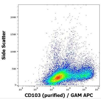 Flow Cytometry: Integrin alpha E/CD103 Antibody (Ber-ACT8) - BSA Free [NBP1-97564]