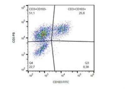 Flow Cytometry: Integrin alpha E/CD103 Antibody (Ber-ACT8) - BSA Free [NBP1-97564]
