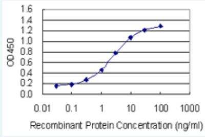 ELISA: Intersectin 1 Antibody (2F12) [H00006453-M02-100ug]