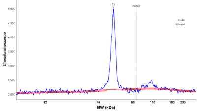 Simple Western: Isocitrate Dehydrogenase 1/IDH1 Antibody [NBP2-34091]