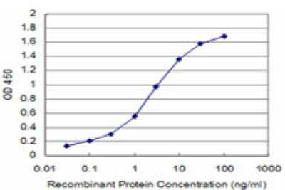 ELISA: JIK Antibody (3B2) [H00051347-M07]