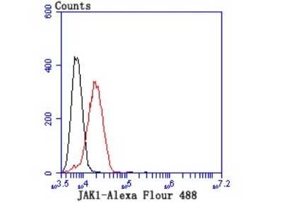 Flow Cytometry: Jak1 Antibody (JM75-03) [NBP2-75547]