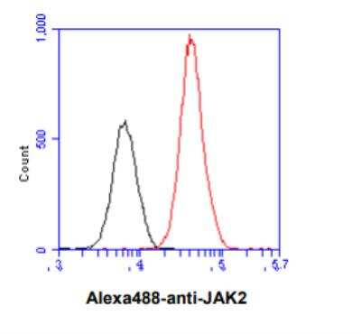 Flow Cytometry: Jak2 Antibody (53B7) - BSA Free [NBP2-59451]