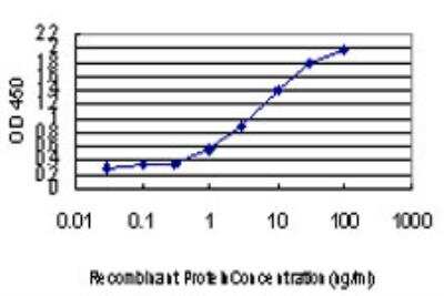 ELISA: Jarid1A Antibody (1H2) [H00005927-M03]