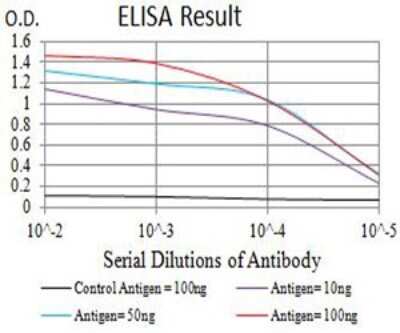 ELISA: KA2/GRIK5/Glutamate Receptor KA2 Antibody (4G5H8) - BSA Free [NBP2-61804]