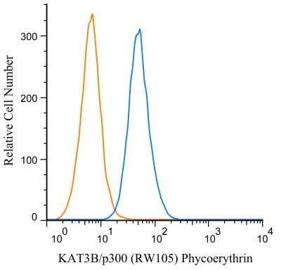 Flow Cytometry: KAT3B/p300 Antibody (RW105) - BSA Free [NB100-616]