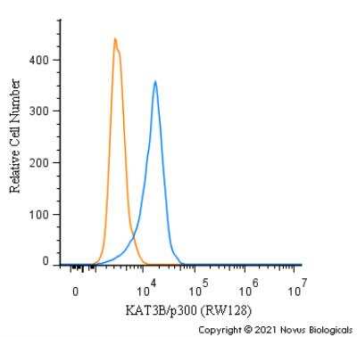 Flow Cytometry: KAT3B/p300 Antibody (RW128) - BSA Free [NB100-507]