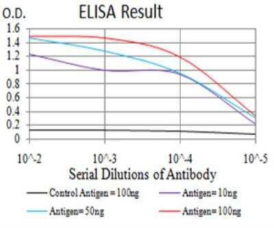 ELISA: KDM2B Antibody (6F6G11) - BSA Free [NBP2-52467]