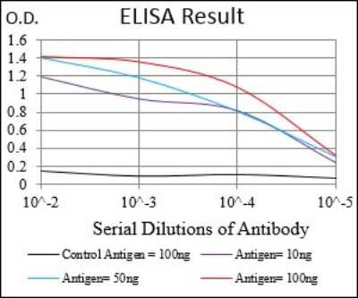 ELISA: KHDRBS2 Antibody (7G8C10) - BSA Free [NBP2-37254]