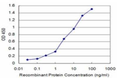 ELISA: KHSRP Antibody (2F3) [H00008570-M03]