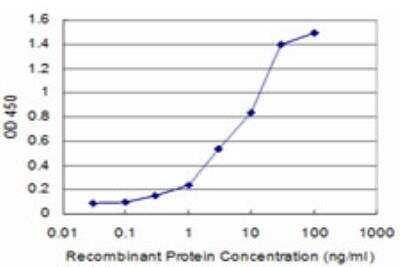 ELISA: KHSRP Antibody (4H7) [H00008570-M09]
