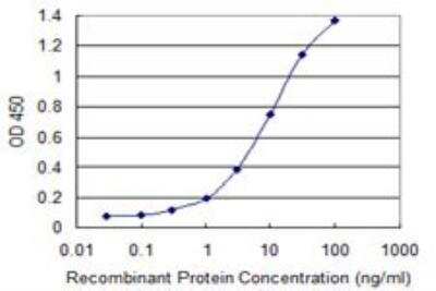 ELISA: CEMIP/KIAA1199 Antibody (3C12) [H00057214-M01]