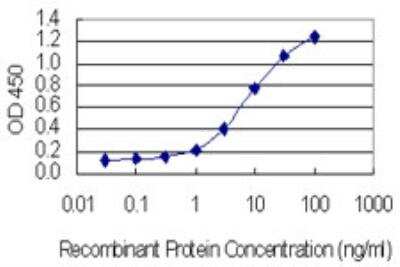 ELISA: KIF17 Antibody (7C6) [H00057576-M04-100ug]