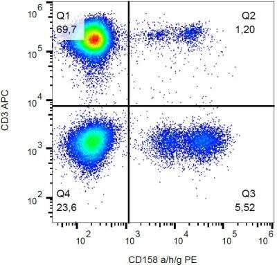 Flow Cytometry: KIR2DL1/CD158a Antibody (HP-MA4) [NBP2-62191]