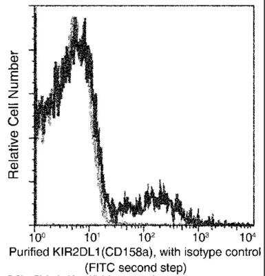 Flow Cytometry: KIR2DL1/KIR2DS5 Antibody (124) [NBP2-90181]