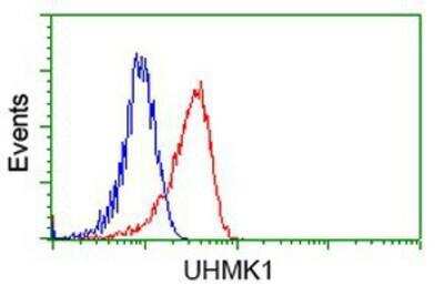 Flow Cytometry: KIST Antibody (OTI2H4) [NBP2-03027]