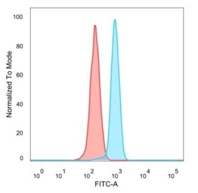 Flow Cytometry: KLF12 Antibody (PCRP-KLF12-1E3) [NBP3-13848]