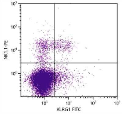 Flow Cytometry: KLRG1 Antibody (2F1) - Azide and BSA Free [NBP1-28115]