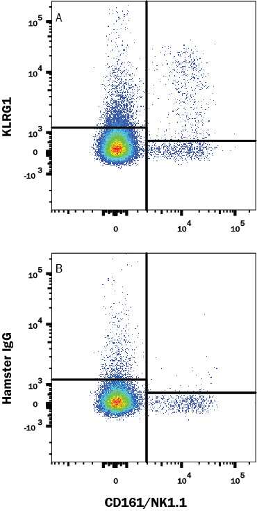 Detection of KLRG1 antibody in Mouse Splenocytes antibody by Flow Cytometry.