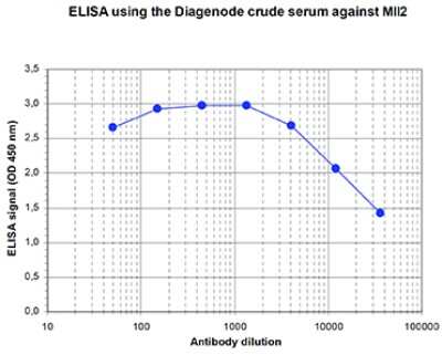 ELISA: KMT2B Antibody [NBP3-18667]
