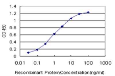 ELISA: KSR2 Antibody (5C4) [H00283455-M05]