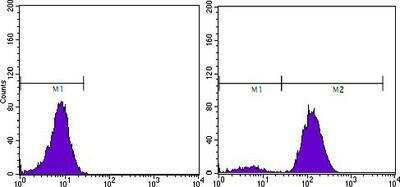 Flow Cytometry: Kallikrein 3/PSA Antibody (5A11E9) - BSA Free [NBP1-51541]