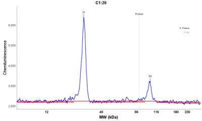 Simple Western: Kappa Light Chain Antibody (L1C1) [NBP2-15191]