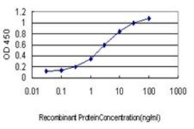 ELISA: Karyopherin (importin) beta 3 Antibody (1C4) [H00003843-M01]
