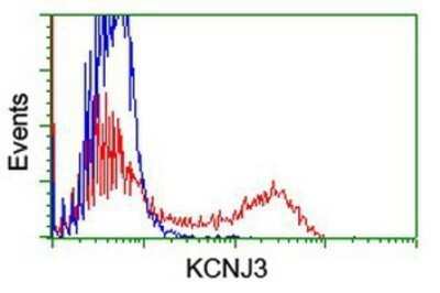 Flow Cytometry: Kir3.1 Antibody (OTI1G3) - Azide and BSA Free [NBP2-71065]
