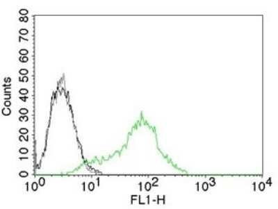 Flow Cytometry: Ku70/XRCC6 Antibody (KU729) - Azide and BSA Free [NBP2-34663]
