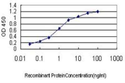 ELISA: Kv1.3 Antibody (1D8) [H00003738-M01]