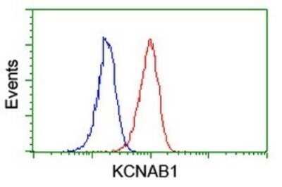 Flow Cytometry: KvBeta1 Antibody (OTI7F12) - Azide and BSA Free [NBP2-71349]