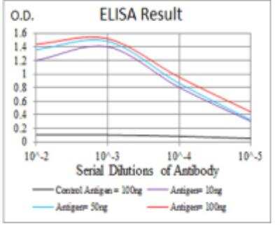 ELISA: L-Selectin/CD62L Antibody (8C8B7) - BSA Free [NBP2-52556]