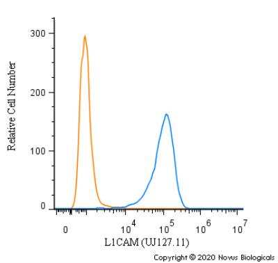 Flow Cytometry: L1CAM Antibody (UJ127.11) - BSA Free [NB100-2682]