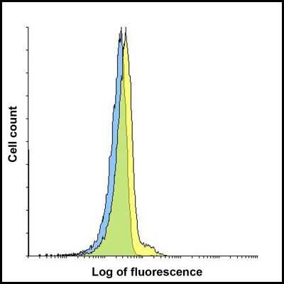 Flow Cytometry: LAG-3 Antibody (1C6) - VHH - Azide and BSA Free [NBP3-12839]