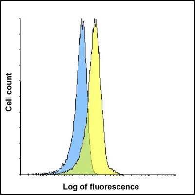 Flow Cytometry: LAG-3 Antibody (2A11) - VHH - Azide and BSA Free [NBP3-12836]