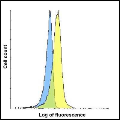 Flow Cytometry: LAG-3 Antibody (2B11) - VHH - Azide and BSA Free [NBP3-12838]