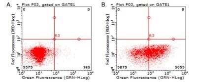 Flow Cytometry: LAG-3 Antibody (OTI8F6) - Azide and BSA Free [NBP2-71112]