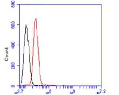 Flow Cytometry: LAMP-2/CD107b Antibody (C9-9) [NBP2-66929]
