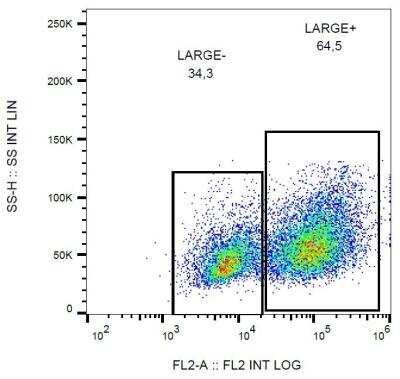 Flow Cytometry: LARGE Antibody (LARGE-02) [NBP2-62211]