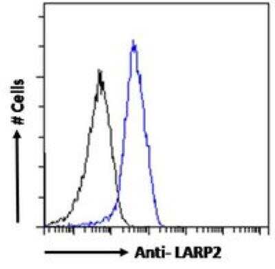 Flow Cytometry: LARP2 Antibody [NB100-60945]