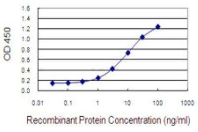 ELISA: LASS3 Antibody (6C12) [H00204219-M02-100ug]
