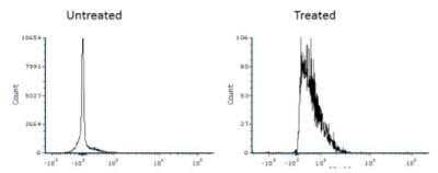 Flow Cytometry: LC3B Antibody (1251A) - BSA Free [NBP2-46892]