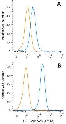 Flow (Intracellular): LC3B Antibody (1251A) - BSA Free [NBP2-46892]