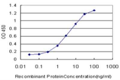 ELISA: LDB3 Antibody (3C8) [H00011155-M06]