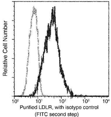 Flow Cytometry: LDLR Antibody (301) [NBP2-89351]